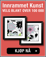 Se innrammet kunst