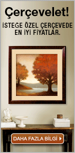 See framed art