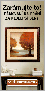 See framed art