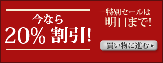 今なら 20% 割引!