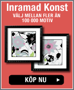 Se inramad konst