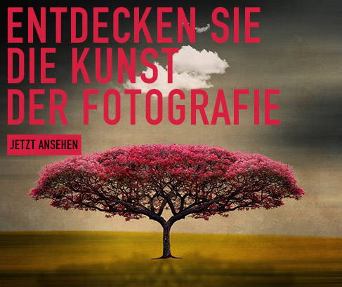ENTDECKEN SIE DIE KUNST DER FOTOGRAFIE. JETZT ANSEHEN