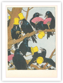 Corbeaux en société reproduction procédé giclée sur AllPosters.fr